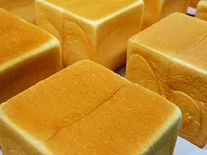 Supporting Tanghe Food in building a 20,000-ton automated bakery production base