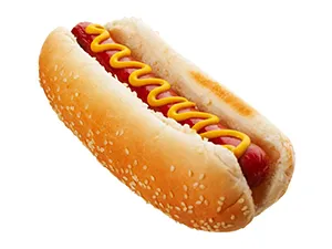 Classic American hot dog